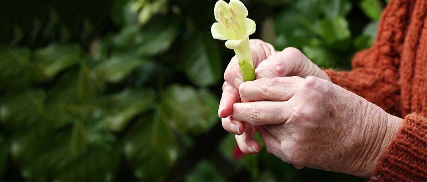 arthritis