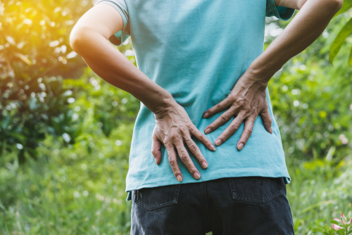 back pelvic pain