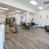 Physical Therapy & Spine 2024